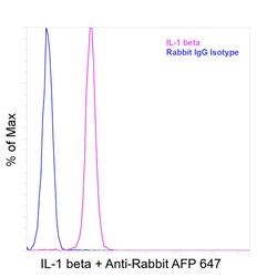 Invitrogen IL-1 beta Recombinant Rabbit Monoclonal Antibody (R3P1-A9) 100 &mu;L | Buy Online | Invitrogen&trade; | Fisher Scientific