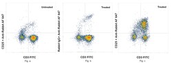 Invitrogen CD25 Recombinant Rabbit Monoclonal Antibody (27H20L38) 100 &mu;L | Buy Online | Invitrogen&trade; | Fisher Scientific