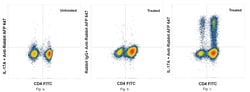 Invitrogen&trade;&nbsp;IL-17A Recombinant Rabbit Monoclonal Antibody (R3P1-A6)
