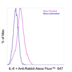 Invitrogen IL-6 Recombinant Rabbit Monoclonal Antibody (54H58L14) 100 &mu;L | Buy Online | Invitrogen&trade; | Fisher Scientific