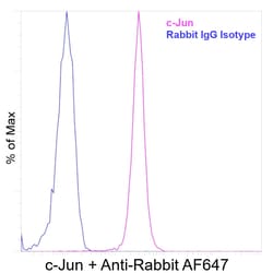 Invitrogen&trade;&nbsp;c-Jun Recombinant Rabbit Monoclonal Antibody (c-Jun-Clone 132)