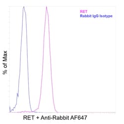 Invitrogen&trade;&nbsp;RET Recombinant Rabbit Monoclonal Antibody (RET-Clone 144)