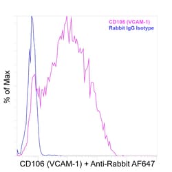 Invitrogen&trade;&nbsp;CD106 (VCAM-1) Recombinant Rabbit Monoclonal Antibody (45H17L57)