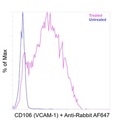 Invitrogen CD106 (VCAM-1) Recombinant Rabbit Monoclonal Antibody (45H17L57) 20 &mu;L | Buy Online | Invitrogen&trade; | Fisher Scientific