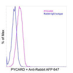 Invitrogen PYCARD Recombinant Rabbit Monoclonal Antibody (D6) 100 &mu;L | Buy Online | Invitrogen&trade; | Fisher Scientific