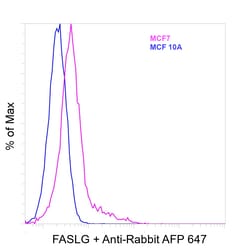 Invitrogen&trade;&nbsp;FASLG Recombinant Rabbit Monoclonal Antibody (R4-MP1-L19)