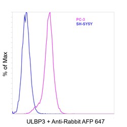 Invitrogen&trade;&nbsp;ULBP3 Recombinant Rabbit Monoclonal Antibody (R4P1-B1)