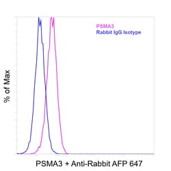 Invitrogen PSMA3 Recombinant Rabbit Monoclonal Antibody (C5D) 100 &mu;L | Buy Online | Invitrogen&trade; | Fisher Scientific