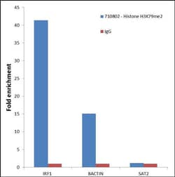 Invitrogen H3K79me2 Recombinant Superclonal Antibody (8HCLC) 100 &mu;g;