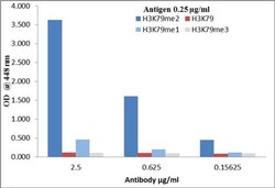 Invitrogen H3K79me2 Recombinant Superclonal Antibody (8HCLC) 100 &mu;g;
