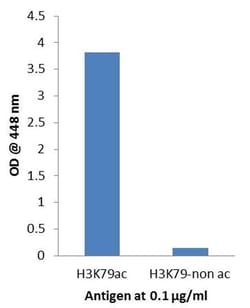 Invitrogen H3K79ac Recombinant Superclonal Antibody 100 &mu;g | Buy Online | Invitrogen&trade; | Fisher Scientific