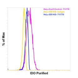 Invitrogen IDO Recombinant Superclonal Antibody 100 &mu;g; Unconjugated:Antibodies,