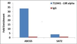 Invitrogen LXR alpha Recombinant Superclonal Antibody (12HCLC) 100 &mu;g | Buy Online | Invitrogen&trade; | Fisher Scientific