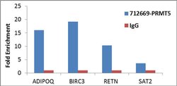 Invitrogen PRMT5 Recombinant Superclonal Antibody (3HCLC) 100 &mu;g; Unconjugated:Antibodies,