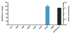 Invitrogen H3.3 G34W oncohistone mutant Recombinant Superclonal Antibody