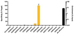Invitrogen H3R8me2a Recombinant Superclonal Antibody (21HCLC) 100 &mu;g;