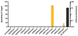 Invitrogen H3R17me2a Recombinant Superclonal Antibody (2HCLC) 100 &mu;g;