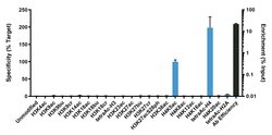 Invitrogen H4K5ac Recombinant Superclonal Antibody (41HCLC) 100 &mu;g;