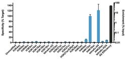 Invitrogen H4K12ac Recombinant Superclonal Antibody (45HCLC), ChIP-Verified