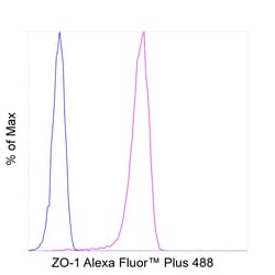 ZO-1 Recombinant Mouse Monoclonal Antibody (ZO1-1A12), Alexa Fluor Plus