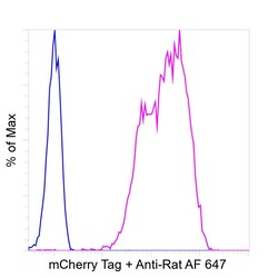 Invitrogen mCherry Recombinant Rat Monoclonal Antibody (16D7), Invitrogen 20 &mu;L | Buy Online | Invitrogen&trade; | Fisher Scientific