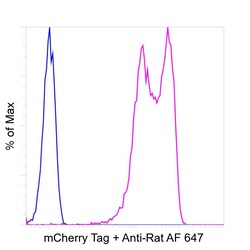 Invitrogen mCherry Recombinant Rat Monoclonal Antibody (16D7), Invitrogen 20 &mu;L | Buy Online | Invitrogen&trade; | Fisher Scientific