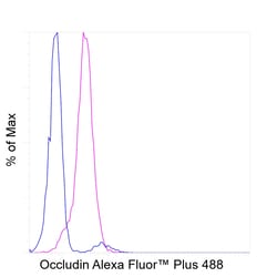 Occludin Recombinant Mouse Monoclonal Antibody (OC-3F10), Alexa Fluor Plus