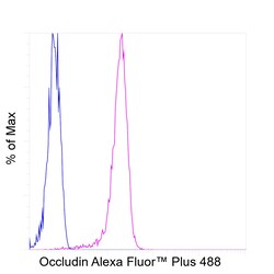 Invitrogen Occludin Recombinant Mouse Monoclonal Antibody (OC-3F10), Alexa