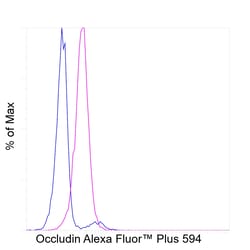 Occludin Recombinant Mouse Monoclonal Antibody (OC-3F10), Alexa Fluor Plus