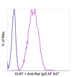 Invitrogen Ki-67 Recombinant Rat Monoclonal Antibody (SolA15), Invitrogen