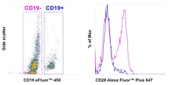 Invitrogen CD28 Recombinant Mouse Monoclonal Antibody (CD28.2), Alexa Fluor