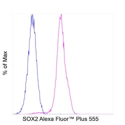 Invitrogen SOX2 Recombinant Rat Monoclonal Antibody (Btjce), Alexa Fluor