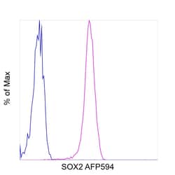 Invitrogen SOX2 Recombinant Rat Monoclonal Antibody (Btjce), Alexa Fluor