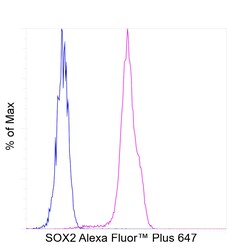 Invitrogen SOX2 Recombinant Rat Monoclonal Antibody (Btjce), Alexa Fluor