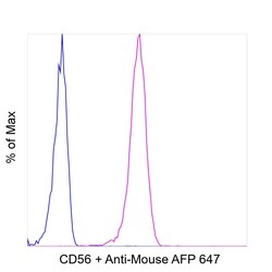 Invitrogen CD56 (NCAM) Recombinant Mouse Monoclonal Antibody (CMSSB), Invitrogen:Anticorps:Anticorps