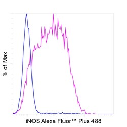 Invitrogen iNOS Recombinant Rat Monoclonal Antibody (CXNFT), Alexa Fluor Plus 488, Invitrogen 50 &mu;L | Buy Online | Invitrogen&trade; | Fisher Scientific