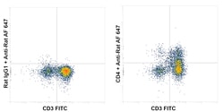 Invitrogen CD4 Recombinant Rat Monoclonal Antibody (4SM95) 100 &mu;L; Unconjugated:Antibodies,