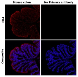 Invitrogen CD4 Recombinant Rat Monoclonal Antibody (4SM95) 100 &mu;L; Unconjugated:Antibodies,