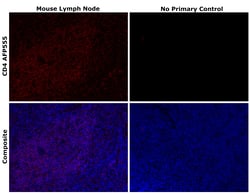 Invitrogen&trade;&nbsp;CD4 Recombinant Rat Monoclonal Antibody (4SM95), Alexa Fluor&trade; Plus 555