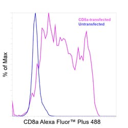 Invitrogen CD8a Recombinant Rat Monoclonal Antibody (4SM16), Alexa Fluor