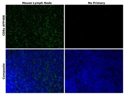 Invitrogen CD8a Recombinant Rat Monoclonal Antibody (4SM16), Alexa Fluor