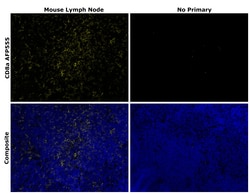 Invitrogen CD8a Recombinant Rat Monoclonal Antibody (4SM16), Alexa Fluor