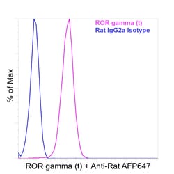 Invitrogen&trade;&nbsp;ROR gamma (t) Recombinant Rat Monoclonal Antibody (AFKJS-9)