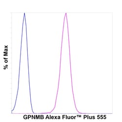 Invitrogen GPNMB Recombinant Mouse Monoclonal Antibody (HOST5DS), Alexa
