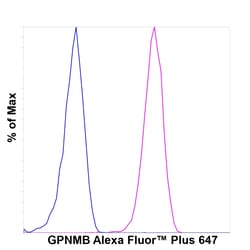 Invitrogen GPNMB Recombinant Mouse Monoclonal Antibody (HOST5DS), Alexa