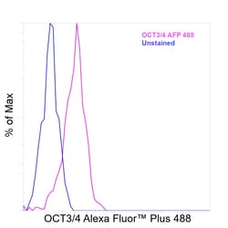 Invitrogen OCT3/4 Recombinant Rat Monoclonal Antibody (EM92), Alexa Fluor
