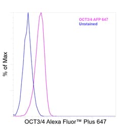 Invitrogen OCT3/4 Recombinant Rat Monoclonal Antibody (EM92), Alexa Fluor
