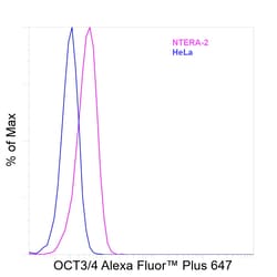 Invitrogen OCT3/4 Recombinant Rat Monoclonal Antibody (EM92), Alexa Fluor