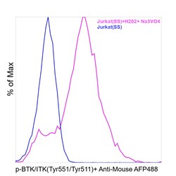 Invitrogen Phospho-BTK/ITK (Tyr551, Tyr511) Monoclonal Antibody (M4G3LN):Antibodies:Primary