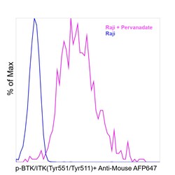 Invitrogen Phospho-BTK/ITK (Tyr551, Tyr511) Monoclonal Antibody (M4G3LN):Antibodies:Primary